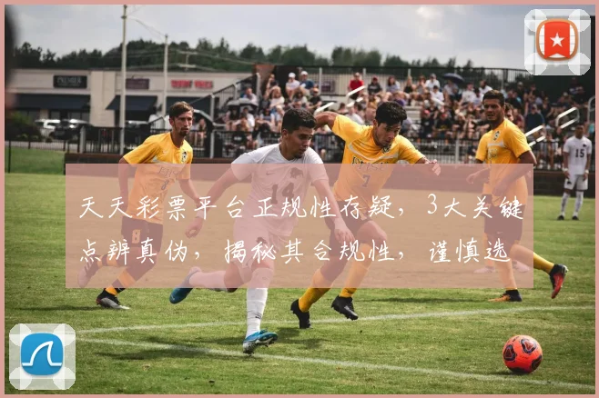 天天彩票平台正规性存疑，3大关键点辨真伪，揭秘其合规性，谨慎选择