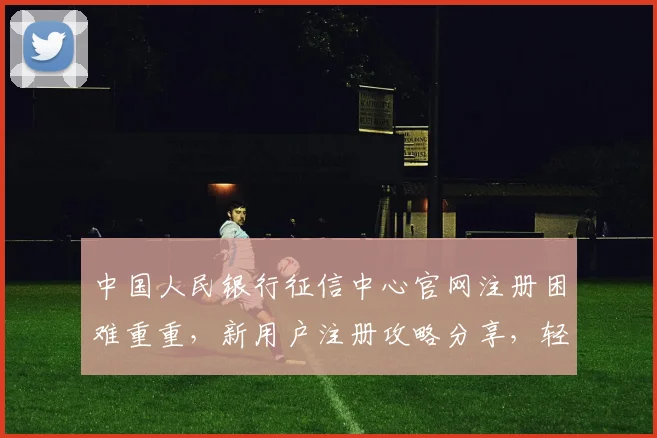 中国人民银行征信中心官网注册困难重重，新用户注册攻略分享，轻松应对三大挑战，三步走教你成功注册