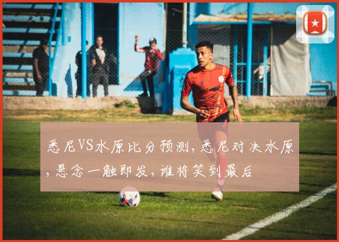 悉尼VS水原比分预测,悉尼对决水原,悬念一触即发,谁将笑到最后